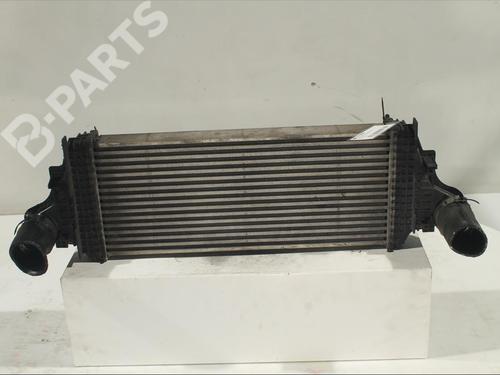 Intercooler MERCEDES-BENZ M-CLASS (W164) [2005-2012]  11985436