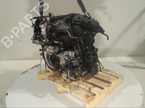 Engine AUDI A5 Sportback (8TA) 2.0 TDI | BP21392636M1 