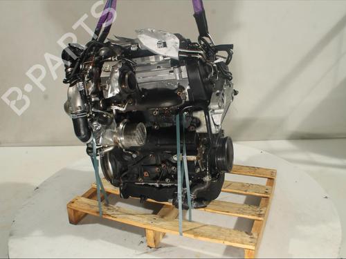 Engine VW CC B7 (358)  | BP19706546M1 
