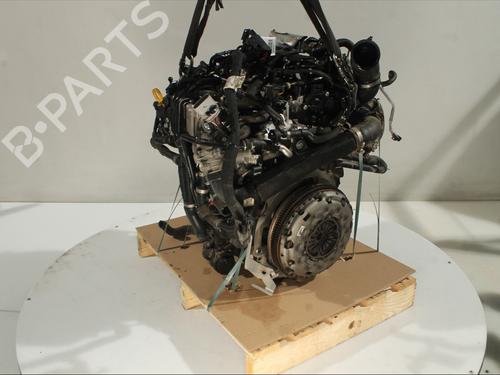 Engine VW TIGUAN (AD1, AX1) 2.0 TDI | BP32333405M1