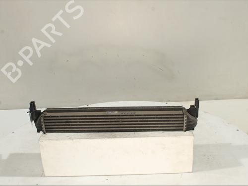 Intercooler VW POLO V (6R1, 6C1) 1.6 TDI | BP30189014M30 