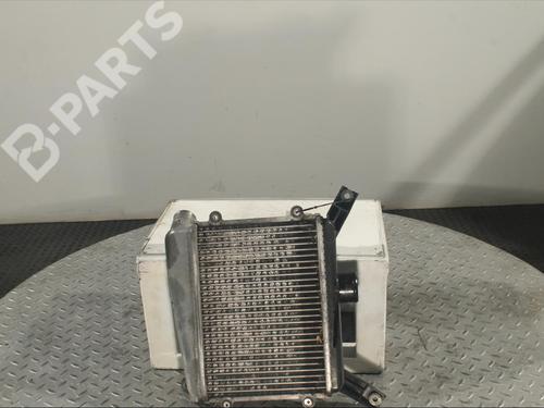 Intercooler TOYOTA RAV 4 II (_A2_) 2.0 D 4WD (CLA20_, CLA21_, CLA20R, CLA21R) | BP11901841M30 