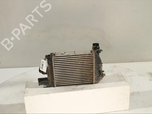 Intercooler DACIA DUSTER (HM_) 1.5 dCi 110 (HMAB) | BP29203395M30