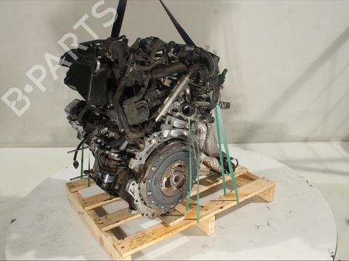 Engine TOYOTA YARIS (_P13_)  | BP17209257M1 