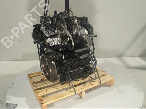 Motor VW TIGUAN (AD1, AX1)  | BP27604457M1 
