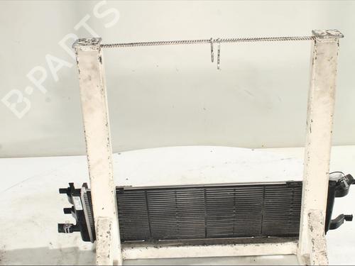 Oil radiator RENAULT AUSTRAL TCe 130 (HGM2) | BP24541750M33 
