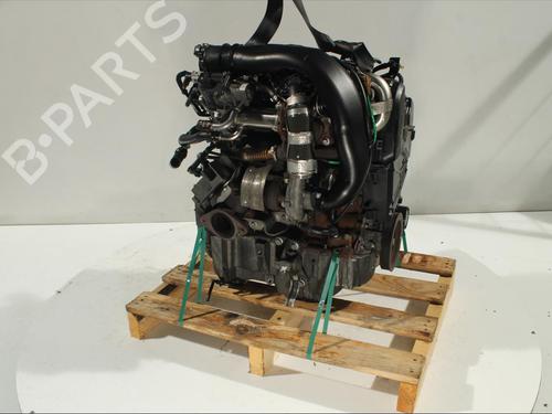 Engine RENAULT CLIO III (BR0/1, CR0/1) 1.2 16V (BR02, BR0J, BR11, CR02, CR0J, CR11) | BP11907120M1 