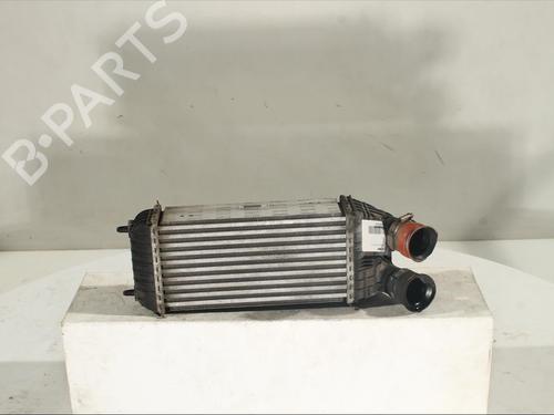 Intercooler PEUGEOT 208 I (CA_, CC_) 1.6 HDi (92 hp) 9803900780CW966003 98 039 007 80