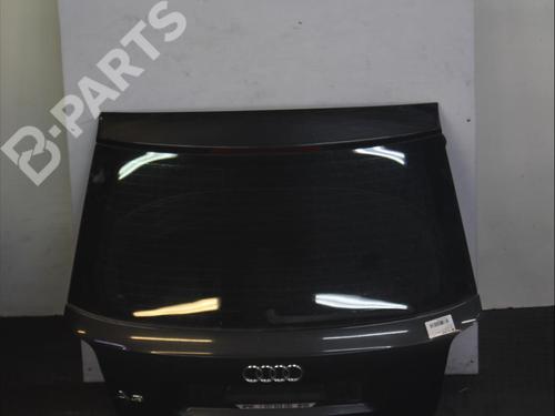 Bakluke CC/Kombi-Kupé AUDI A3 (8P1) [2003-2013]  12083938