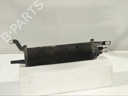 Used Oil radiator JEEP COMPASS (MP, M6, MV, M7) 2.0 CRD 4x4 (140 hp) 24351312