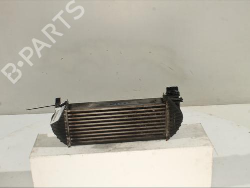 Intercooler MERCEDES-BENZ CITAN MPV (W415) 109 CDI (415.703) | BP29203104M30