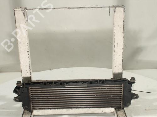 Used Intercooler Intercooler RENAULT TRAFIC II Bus (JL) 2.0 dCi 115 (JL00, JL01, JL0H, JL0M, JL0U) (114 hp) 17389329 17389329