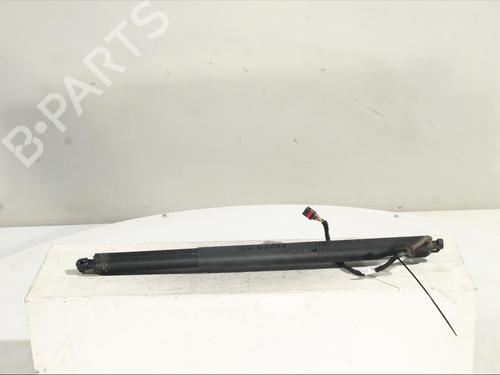 BP33999054C138 main image