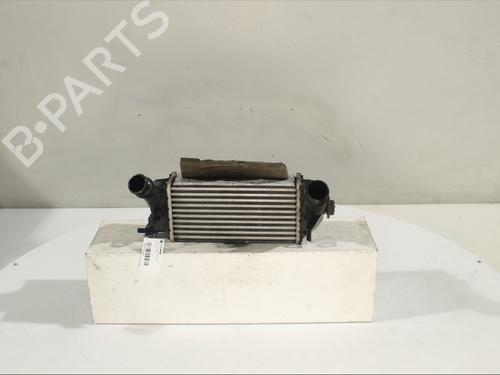 Used Intercooler FORD ECOSPORT 1.0 EcoBoost (100 hp) 31575916