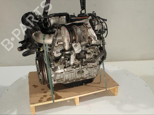 Engine HYUNDAI i30 (PDE, PD, PDEN) 2.0 N | BP28449391M1 