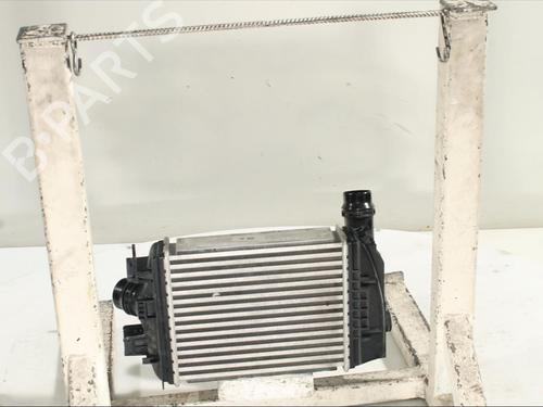 Intercooler NISSAN JUKE (F16_) DIG-T 117 | BP24541845M30 