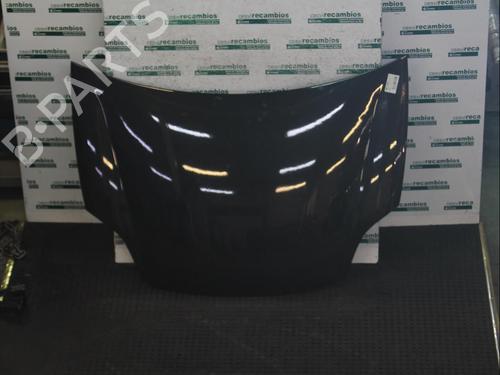 Used Hood FIAT BRAVO II (198_) 1.9 D Multijet (198AXB1A) (120 hp) 12077161