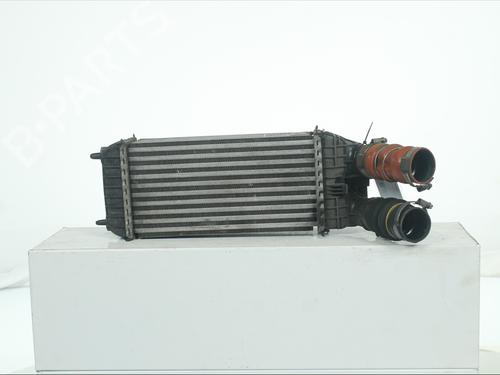 Used Intercooler Intercooler CITROËN C3 II (SC_) 1.6 BlueHDi 100 (99 hp) 34641752 34641752