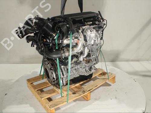 Engine KIA SPORTAGE V (NQ5)  | BP16941738M1 