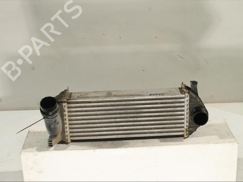 Used Intercooler RENAULT KANGOO BE BOP (KW0/1_) 1.5 dCi (110 hp) 29173336