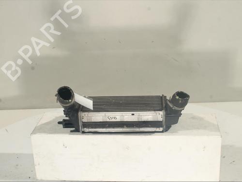 Used Intercooler FORD FIESTA VI (CB1, CCN) 1.0 EcoBoost (100 hp) 21185849