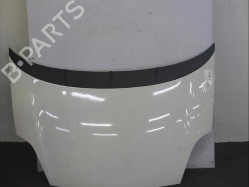 Used Hood FIAT GRANDE PUNTO (199_) 1.3 D Multijet (75 hp) 16682984