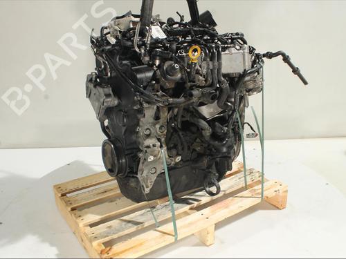 Engine AUDI Q3 (8UB, 8UG)  | BP24519865M1 