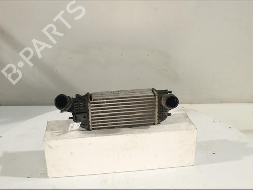 Intercooler CITROËN C5 III (RD_) 2.0 HDi 140 (RDRHF8, RDRHFA, RDRHA8, RDRHAJ) | BP30841446M30