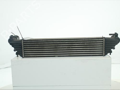 Used Intercooler Intercooler FIAT TIPO Hatchback (356_, 357_) 1.3 D (356HXH1A) (95 hp) 34049152 34049152