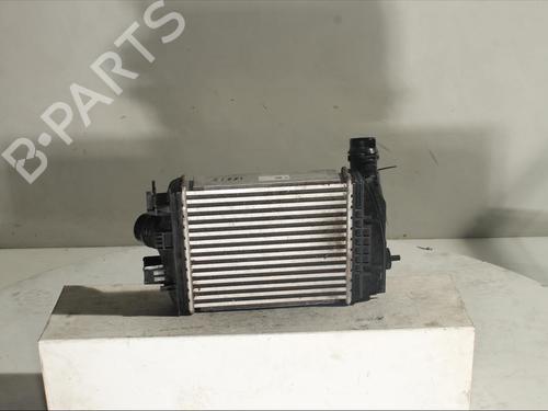 Intercooler NISSAN JUKE (F16_)  | BP17317386M30 