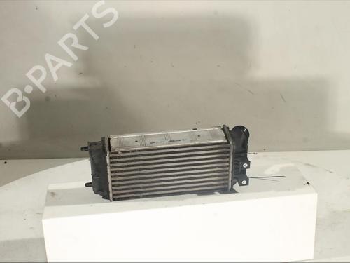 Ladeluftkühler CITROËN BERLINGO Box Body/MPV (B9)  | BP19124820M30 