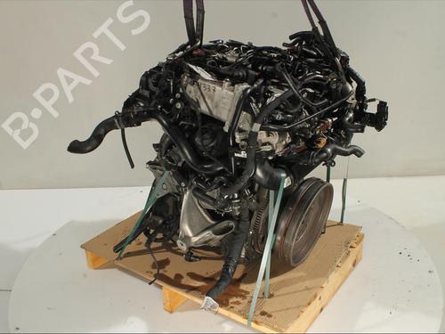 Engine AUDI A4 B9 Avant (8W5, 8WD) 2.0 TDI quattro | BP27290797M1 