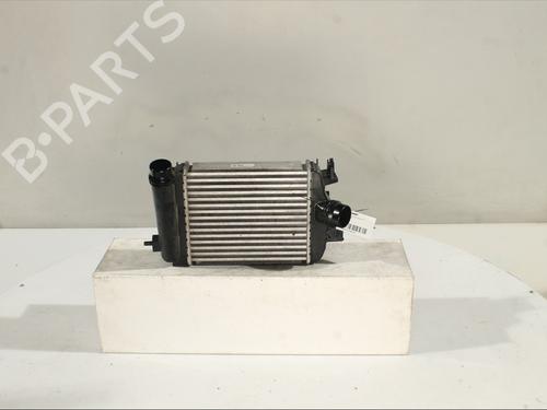 Used Intercooler Intercooler RENAULT CLIO V (B7_) 1.0 LPG (B7MT) (91 hp) 30473895 30473895