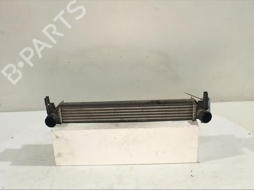 Used Intercooler VW POLO V (6R1, 6C1) 1.6 TDI (90 hp) 30189014