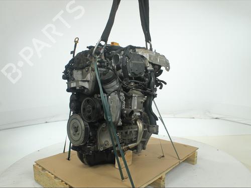 Engine FIAT TIPO Hatchback (356_, 357_) 1.3 D (356HXH1A) | BP38005497M1 - Image 3