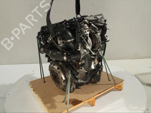 Engine VW GOLF VII (5G1, BQ1, BE1, BE2) 1.6 TDI | BP29986343M1
