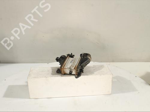 Intercooler DACIA DOKKER MPV (KE_) 1.5 Blue dCi 95 (KEJL) | BP30956033M30