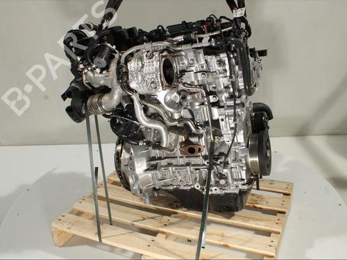Engine KIA SPORTAGE V (NQ5) 1.6 T-GDI MHEV AWD | BP22956373M1 