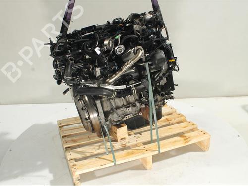 Engine FORD ECOSPORT 1.5 EcoBlue TDCi | BP24519933M1 