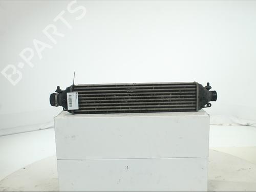 Used Intercooler Intercooler OPEL COMBO Tour (X12) 1.3 CDTI (C26, D26, E26, C05) (90 hp) 35797876 35797876