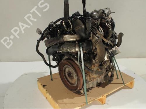 Engine SKODA OCTAVIA III (5E3, NL3, NR3) 1.6 TDI | BP29349523M1 