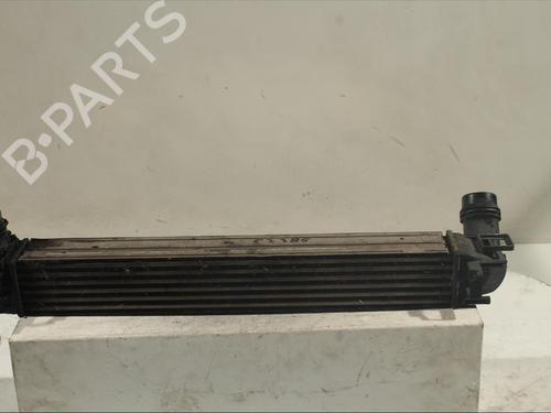 Intercooler RENAULT MEGANE III Hatchback (BZ0/1_, B3_) 1.5 dCi (BZ09, BZ0D, BZ1W, BZ29, BZ14) | BP18416513M30