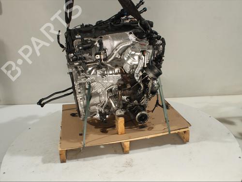 Engine BMW X4 (G02, F98) xDrive 20 d Mild-Hybrid | BP29021322M1  - Image 6
