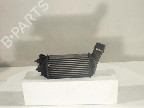 Used Intercooler Intercooler CITROËN DS5 2.0 HDi 165 (163 hp) 20221670 20221670