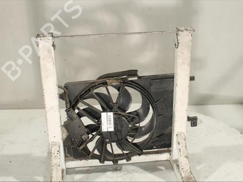 Radiator fan FORD GRAND C-MAX (DXA/CB7, DXA/CEU)  | BP17209089M35 