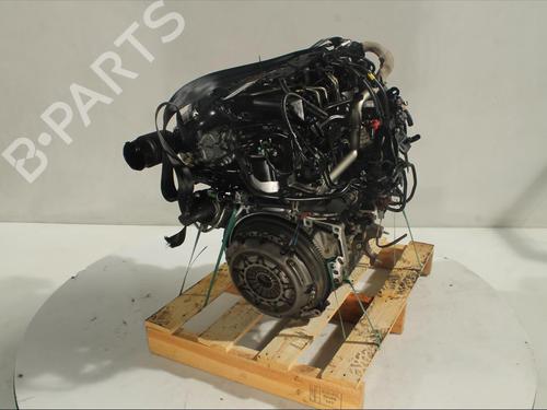 Engine FORD FIESTA VI (CB1, CCN)  | BP15515528M1 