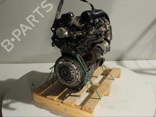Engine DACIA SANDERO II 1.5 dCi 75 / Blue dCi 75 (B8JW, B8M4, B8AH, B8M7, B8M6) | BP11905840M1 