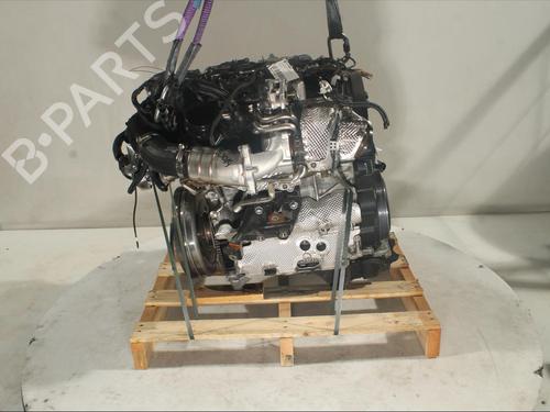 Used Engine AUDI A5 Sportback (F5A, F5F) 40 TDI Mild Hybrid quattro (204 hp) 20503358