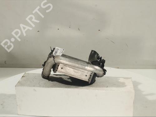 Intercooler AUDI A6 Allroad C6 (4FH)  | BP15059464M30 