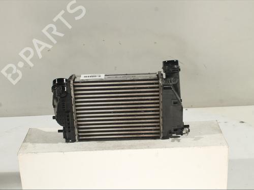 Intercooler RENAULT TALISMAN (LP_) 1.6 dCi 130 | BP28529593M30 
